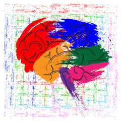 The brain of a person, represented in the form of brush strokes with a multicolored paint. Abstraction, illustration