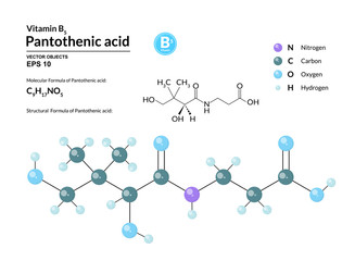 Structural chemical molecular formula and model of pantothenic acid. Atoms are represented as spheres with color coding isolated on background. 2d or 3d visualization and skeletal formula. Vector