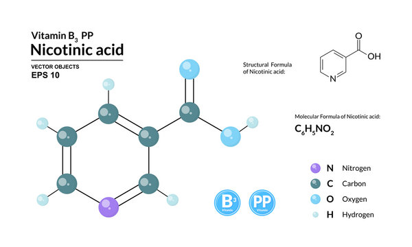 Structural chemical molecular formula and model of nicotinic acid. Atoms are represented as spheres with color coding isolated on background. 2d or 3d visualization and skeletal formula. Vector