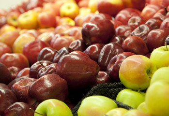 red apples among fruit