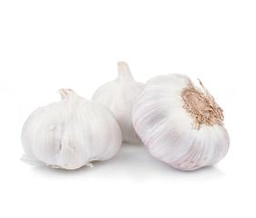Garlic isolated on white