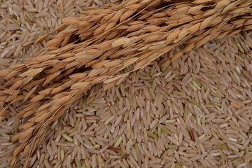 brown rice
