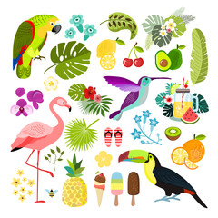 Summer tropical graphic elements. Parrot, toucan and flamingo bird. Jungle floral illustrations, palm leaves, hibiscus, flowers, tropical fruits and plants. Isolated vector illustration.