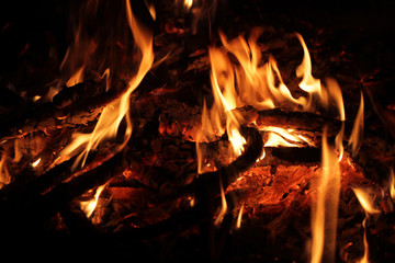 Fototapeta premium campfire detail - burning wood and big yellow and orange flames
