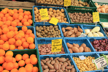 Fresh harvested potatoes