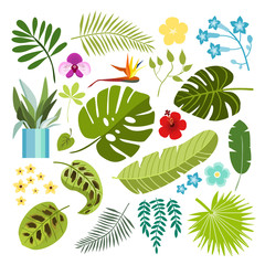 Summer tropical graphic elements with tropical plant. Jungle floral illustrations, palm and monstera leaves hibiscus and orchid flower, flat design. Isolated stock vectors.