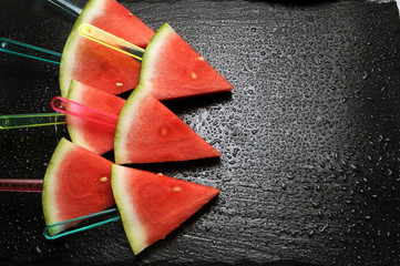 Citrullus lanatus Sandía Wassermelone Síndria Anguria Patilla Aguamelón Watermelon Melón de...
