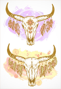 Vector illustration with a wild buffalo skulls and feathers, in the boho style.