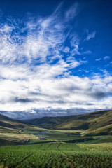 Obraz premium landscape