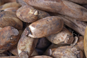 Renkon or lotus root  in ope-air market stall in Brazil