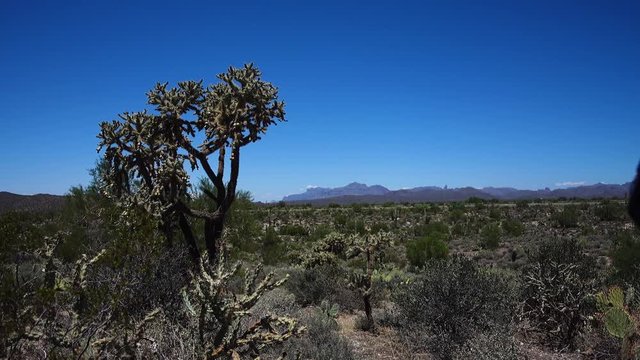 A daytime exterior establishing shot of the Arizona desert with the Superstition Mountain range and Weaver's Needle in the distance.  	