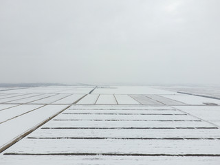 Top view of a plowed field in winter. A field of wheat in the snow