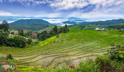 Fototapeta na wymiar Terrace rice field over the mountain range and beautiful sky.