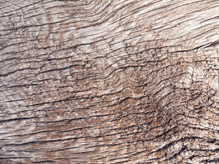 Dry wood texture