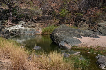 The African landscape. Zimbabwe.