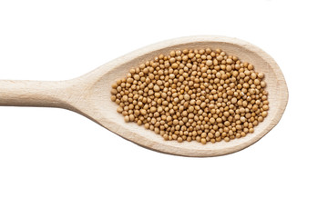 Mustard seeds on wooden spoon isolated on white.