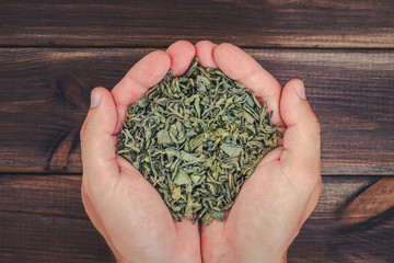Dry green tea leaves on hands over wooden table.