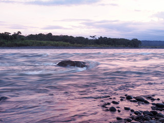 Fototapeta premium Fleuve amazonienne 