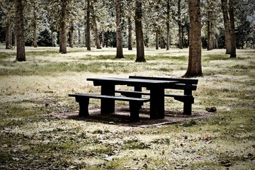 Black bench in the forest