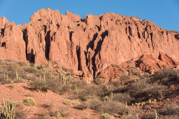 Fototapeta premium Red rocks