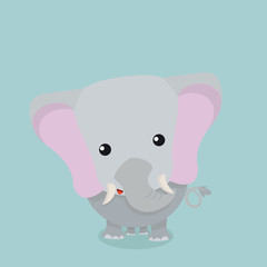 cute elephant baby