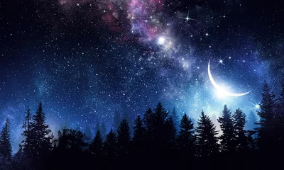 Fototapeten Sternenklarer Nachthimmel. Gemischte Medien © Sergey Nivens