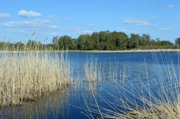 Lake Bolshoe Ostrovnoe. Altai region.
