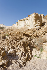 Fototapeta premium Stone desert in Israel