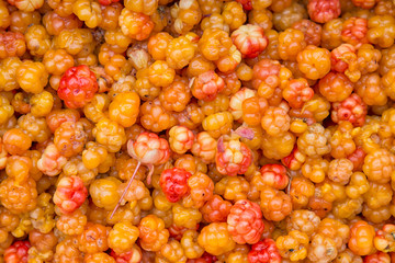 Karelian ripe juicy cloudberry. Berry background