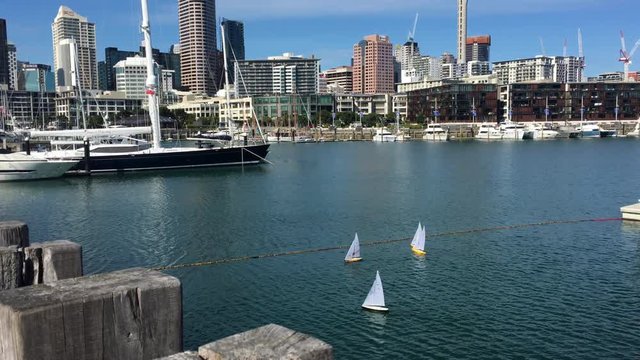 Miniature yachts sail in Viaduct Harbor against Auckland downtown skyline. Auckland is known as the "city of sails" with more boats per capita than anywhere else in the world
