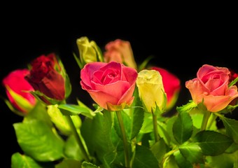 bouquet of multicolored roses on an isolated black background