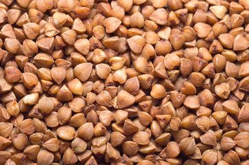Buckwheat background