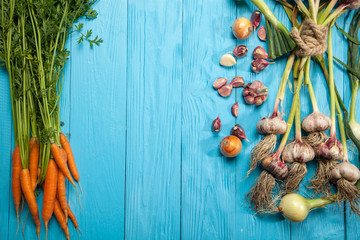 Fresh carrots, garlic and onions on a blue background