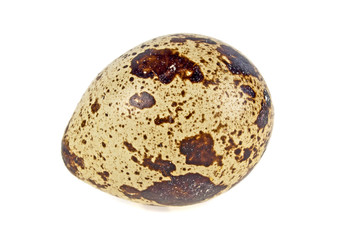 Single quail egg isolated over white background