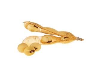 Soy pods isolated on white background