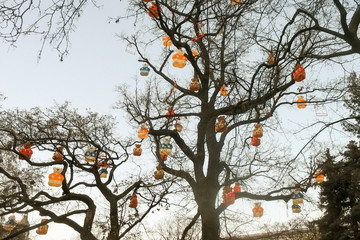 simple street tree decorated with toys for the holidays europe