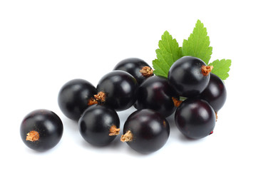 black currant with green leaf isolated on white background