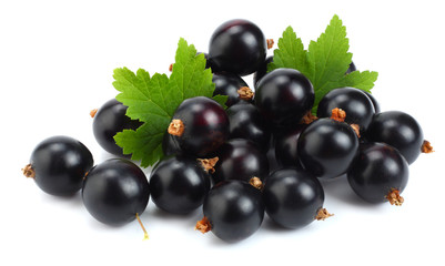 black currant with green leaf isolated on white background