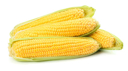 Fresh corn on cob isolated on white background