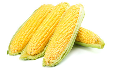 Fresh corn on cob isolated on white background