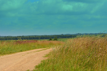 A beautiful natural summer countryside landscape: rural road into the distance amid the fields with a sunny day . Wildlife. Nature 