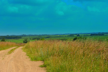 A beautiful natural summer countryside landscape: rural road into the distance amid the fields with a sunny day . Wildlife. Nature 
