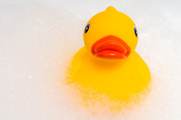 Rubber duck and foam in bathtub