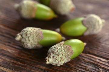 Acorns on a wooden background
