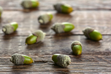 Acorns on a wooden background