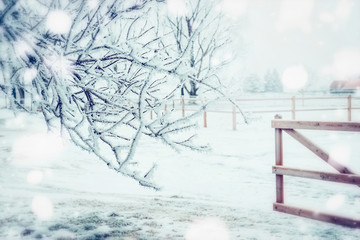 Winter day country landscape with frozen tress , snow and wooden fence, outdoor nature background