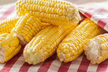 corn background