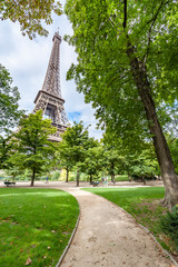 Eiffel tower from the gardens in Paris, France - 166949804