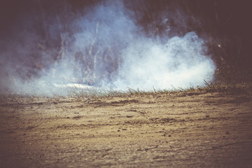 Burned Dry Grass Filtered