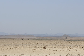 in Egypt at the sunset Sandy desert